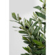 Planta decorativa de oliveira 150cm