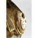 Peça Decorativa Moonfish Big
